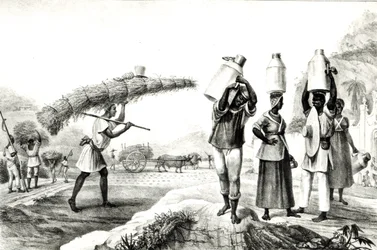 Vendeurs de lait et de Capim, de 