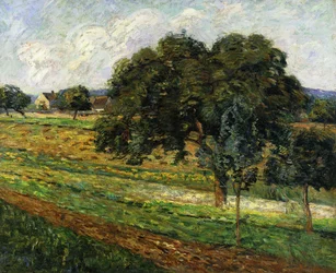 Arbres et fleurs, paysage à Damiette