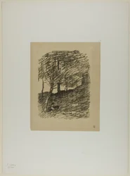 Sous les arbres