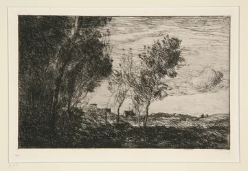 Dans les Dunes: souvenir du bois de la Haye