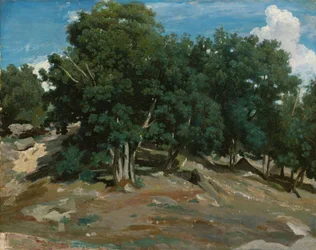 Fontainebleau : Chênes à Bas-Bréau, 1832-3