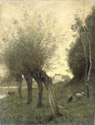 Paysage avec saules têtards