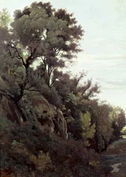 Marino - Arbres et rochers