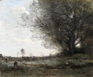 Le hêtre
