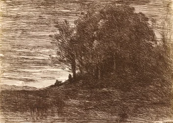 Les bois de l