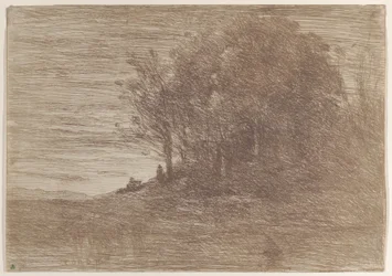 Les Bois de l