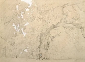 Jeune homme devant un grand chêne, vers 1840