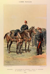 Types et uniformes de l
