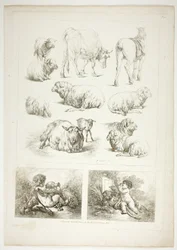 Planche huit de 38 des Oeuvres de J. B. Huet