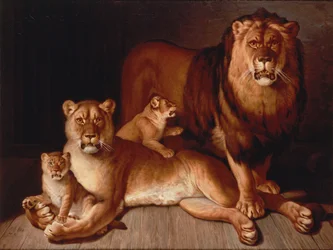 Fierté des lions