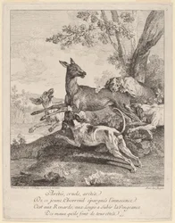 Un cerf attaqué par des chiens