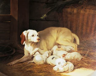Chienne allaitant des chiots, (détail) de Lise et ses petits, par Jean-Baptiste Oudry (1686-1755), France