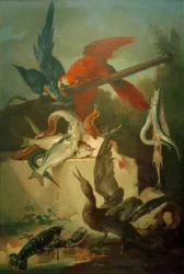 Poissons, oiseaux de mer et perroquets