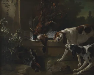 Chiens avec gibier et volaille