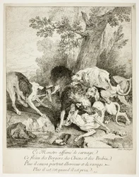 Le loup à la baie