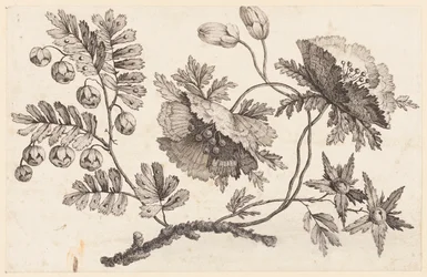 Branche de fleurs, de "Recueil de Fleurs Chinois"