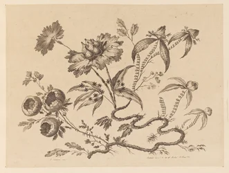 Brindilles de fleurs, de "Recueil de Differentes Fleurs de Fantaisie Dans le Goût Chinois"