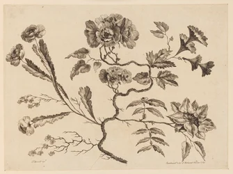 Branches de fleurs, de "Recueil de Différentes Fleurs de Fantaisie Dans le Goût Chinois"