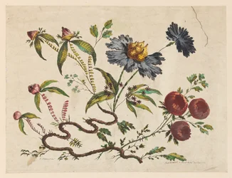 Brindilles de fleurs, de "Recueil de Différentes Fleurs de Fantaisie Dans le Goût Chinois"