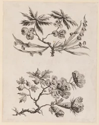 Branches fleuries de "Recueil de Fleurs Chinois"