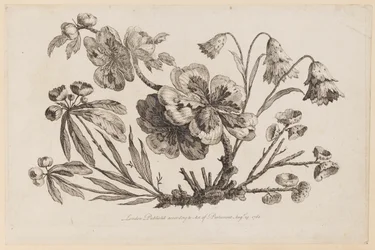 Branches fleuries, de "Recueil de Fleurs de Chinois"