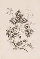 Branche de fleur, de "Fleures Persannes"
