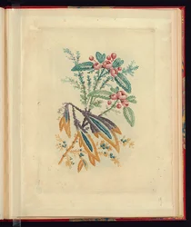 Motif ornemental avec petites fleurs rouges et baies, de Nouvelle suite de cahiers de fleurs naturelles à l