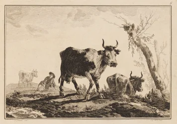 Planche 5, "Cahier de Six Feuilles de Bœufs et Vaches"