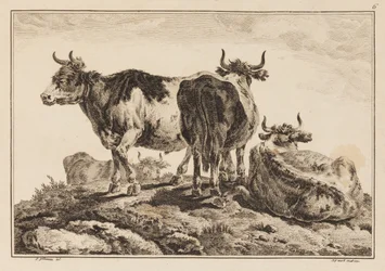Planche 6, de "Cahier de Six Feuilles de Bœufs et Vaches"