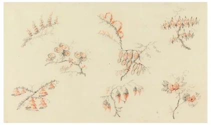 Bouquets de sept fleurs idéales et d