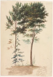 Arbres