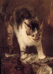 Nature morte à la raie, aux poissons, aux huîtres et à la cruche. Détail de chat. 1727. 1,14 x 1,46 m. Paris, musée du Louvre