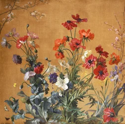 Coquelicots, Iris et Fleurs