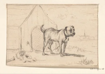 Chien en laisse, debout devant sa niche