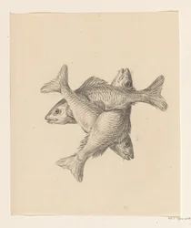 Trois petits poissons disposés en croix