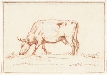 Vache broutant, vers la gauche