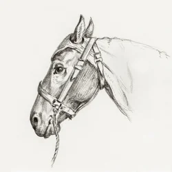 Tête de cheval (1818)