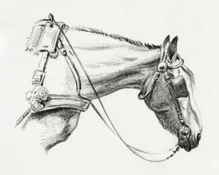 Tête de cheval (1820)