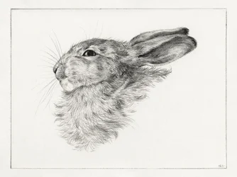 Tête de lapin (1821)