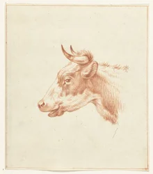 Tête de vache, vers la gauche