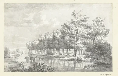 Paysage avec vaches pataugeant
