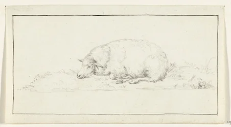 Mouton couché, vers la gauche