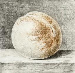 Pêche