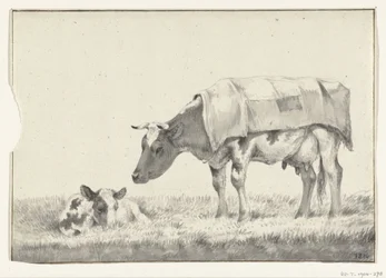 Vache debout, vers la gauche, avec un veau couché