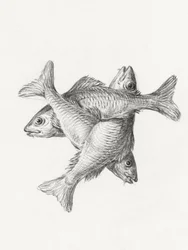 Three Fishes (1775-1833)