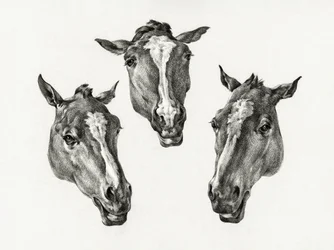 Trois têtes de cheval (1812)