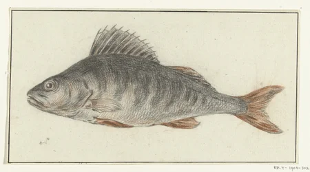 Poisson