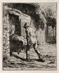 Paysan revenant du tas de fumier