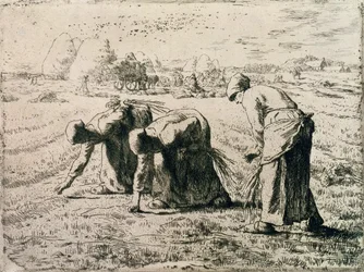 Les Glaneuses, 1855