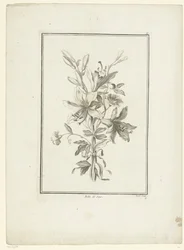 Bouquet avec lys